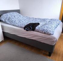 Ein Zimmer mit Gemeinschaftsküche - St. Blasien