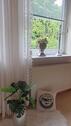 Foto - Einfamilienhaus in Eckernförde zum Kaufen