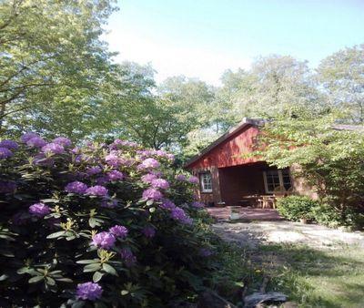 Foto - andere in Moormerland