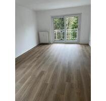 Helle 2 Zimmer Wohnung mit sonnigem Balkon, bezugsfertig renoviert,Lüd.-Musikantenviertel - Lüdenscheid Othlinghausen