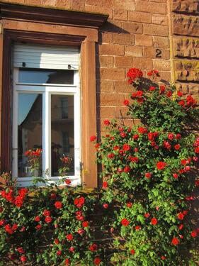 Foto - 2 Zimmer Etagenwohnung zur Miete in Bechhofen