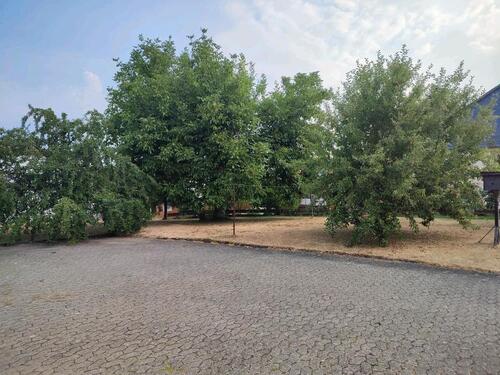 Foto - 8 Zimmer Einfamilienhaus in Tiefenbach