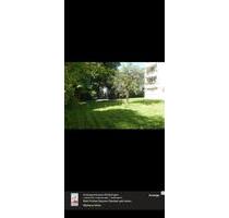 Ruhiges WG zimmer - 500,00 EUR Kaltmiete, in Stuttgart (PLZ: 70329) Hedelfingen Ruhiges WG zimmer - 500,00 EUR Kaltmiete, in Stuttgart (PLZ: 70329) Hedelfingen