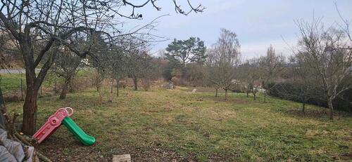 Foto - landwirtschaftliches Gartengrundstück zu verpachten
