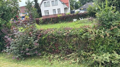 Foto - Grundstück - 37.000,00&nbsp;EUR Kaufpreis, ca.&nbsp; 550,00&nbsp;m&sup2;