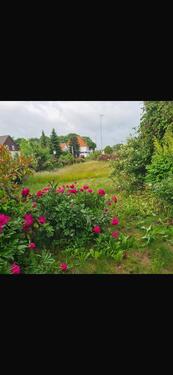 Foto - Einfamilienhaus zum Kaufen in Nordenham