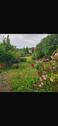 Foto - Einfamilienhaus in Nordenham