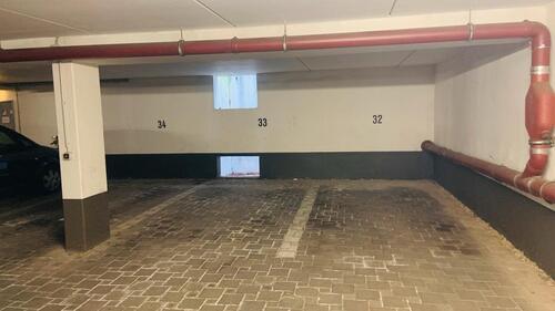 Foto - andere in Dresden