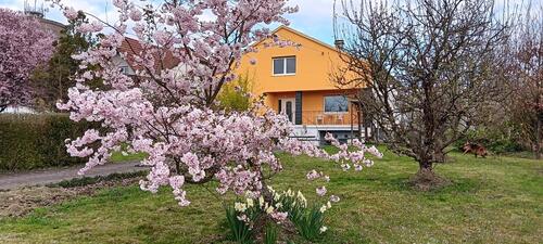 Foto - 6 Zimmer Einfamilienhaus zum Kaufen in Kleinblittersdorf