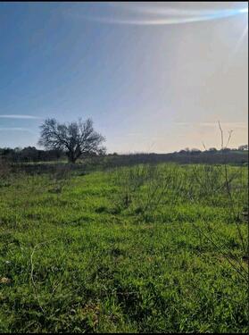 Foto - andere zur Miete in Stuttgart