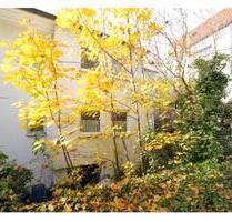 Klasse Kapitalanlage ohne Maklerprovision! - Ebersbach an der Fils