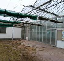 Stellplatz für Wohnmobil oder Wohnwagen - Delitzsch