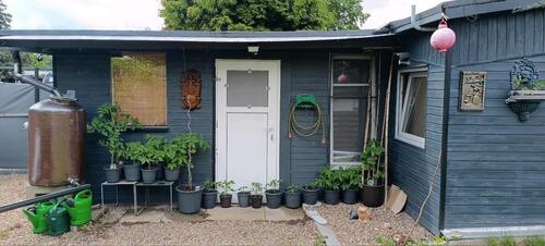 Foto - 4 Zimmer Einfamilienhaus zum Kaufen in Gifhorn