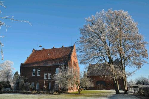 Foto - Helle, großzügige OG-WHG in 2 Fam. - Haus zu vermieten
