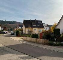 Sinzheim: Vermietetes Haus , 2 Bauplätze, 12.000 qm Flächen