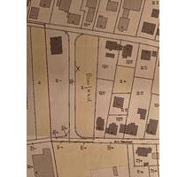 Sonnengrundstück in Ludwigsau OT Friedlos - Bad Hersfeld