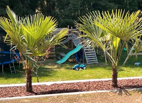 Foto - Etagenwohnung zur Miete in Greifenstein