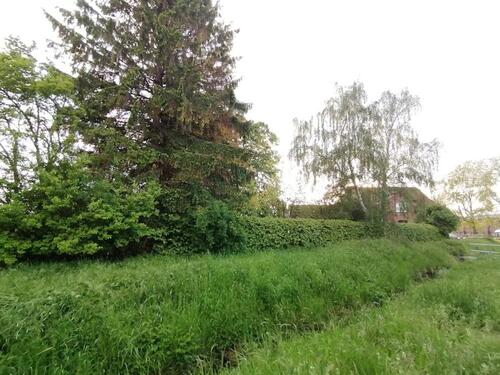 Foto - 16 Zimmer Einfamilienhaus in Stadthagen