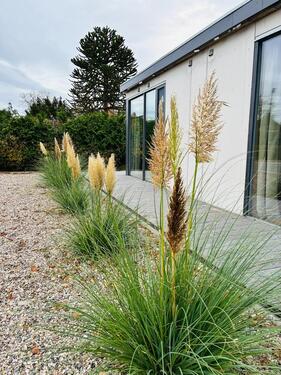 Foto - Ferienhaus in Quarnbek für bis zu vier Personen