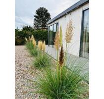 Ferienhaus in Quarnbek für bis zu vier Personen