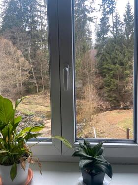 Foto - 3 Zimmer Erdgeschoßwohnung in Regen