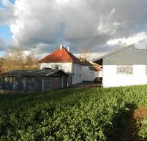 1725 qm mit Haus und 2 Hallen maklerfrei - Bruchsal