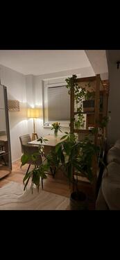 Foto - Etagenwohnung zur Miete in Halle (Saale)
