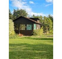 Schrebergarten - 3.000,00 EUR Kaltmiete, ca.  0,00 m² in Mölln (PLZ: 23879)