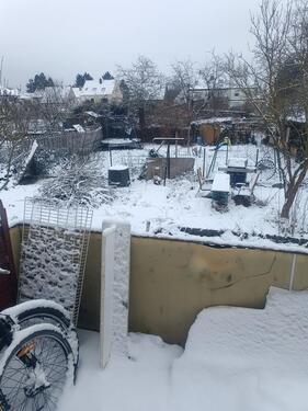 Foto - Einfamilienhaus in Homburg zur Miete