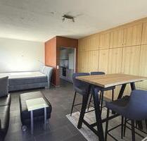Möbliertes Apartment 1-Zimmer Wohnung mit Balkon Staffelbergblick - Bad Staffelstein