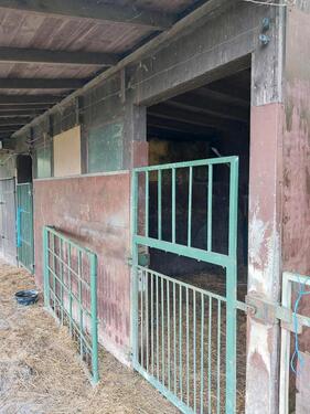 Foto - Grundst&uuml;ck zur Miete in Bad Pyrmont