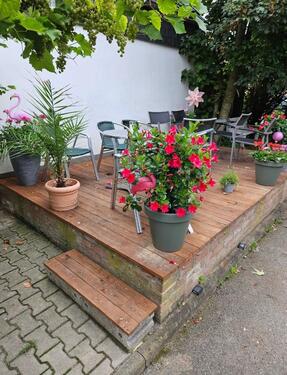 Foto - andere in Bedburg