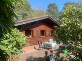 Foto - Einfamilienhaus zum Kaufen in Hankensbüttel