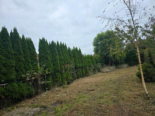 Foto - Einfamilienhaus zum Kaufen in Dornum