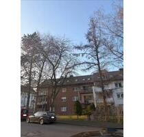 3-Zimmer Dachgeschosswohnung mit Küche Stellplatz Keller - Löhne