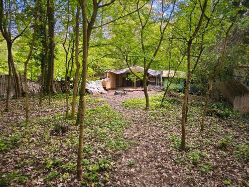 Foto - Garten in Bierstadt zu verpachten