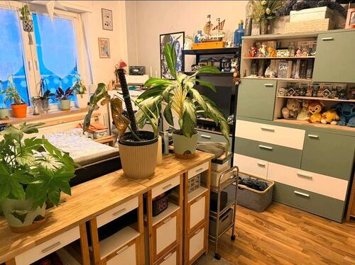 Foto - 2 Zimmer Erdgeschoßwohnung in Heinsberg