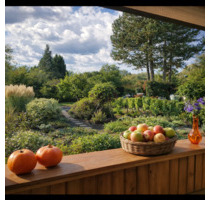 Ruhiges Wochenendgrundstück Nähe Dessau zu verpachten - Oranienbaum-Wörlitz