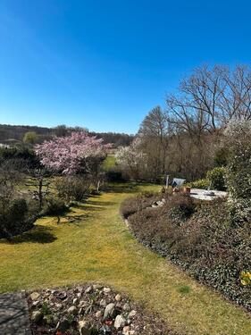 Foto - 6 Zimmer Einfamilienhaus in Eutin
