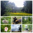 Foto - andere in Nauen