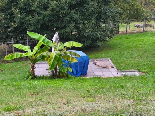 Foto - Etagenwohnung zur Miete in Bühlertal