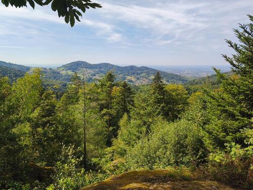 Foto - Etagenwohnung in Bühlertal