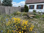 Foto - 3 Zimmer Einfamilienhaus in Finsterwalde