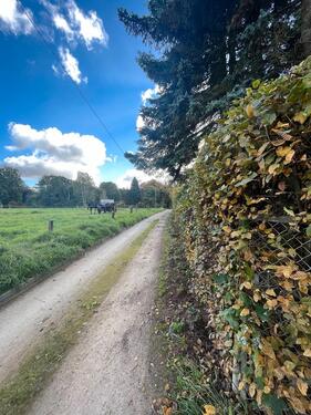 Foto - Wochenendhaus Grundstück Sanierungsobjekt in Dresden Rochwitz