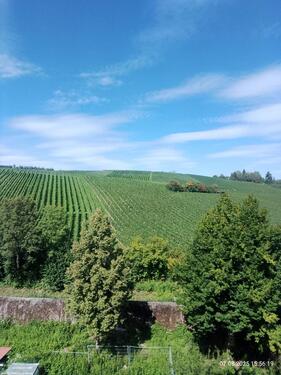 Foto - 2 Zimmer Etagenwohnung in Meersburg