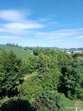 Foto - Etagenwohnung in Meersburg zum Kaufen