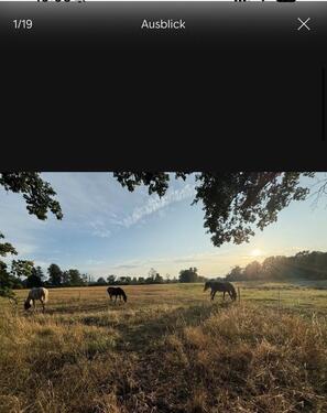 Foto - Einfamilien - 265.000,00 EUR Kaufpreis,