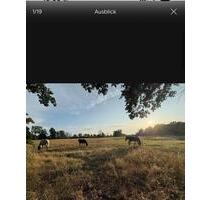 Einfamilien - 265.000,00 EUR Kaufpreis, in Liebenwalde (PLZ: 16559)