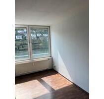 Einzimmerwohnung mit Neckarblick in Ziegelhausen - Heidelberg Peterstal
