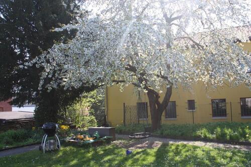 Foto - 4 Zimmer Etagenwohnung zur Miete in Gotha